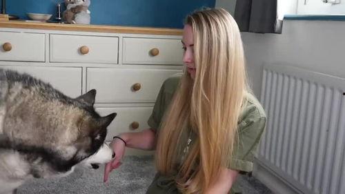 狗狗最新爆料视频大全图片,萌宠瞬间大盘点,笑料十足! 第3张 狗狗最新爆料视频大全图片,萌宠瞬间大盘点,笑料十足! 第3张